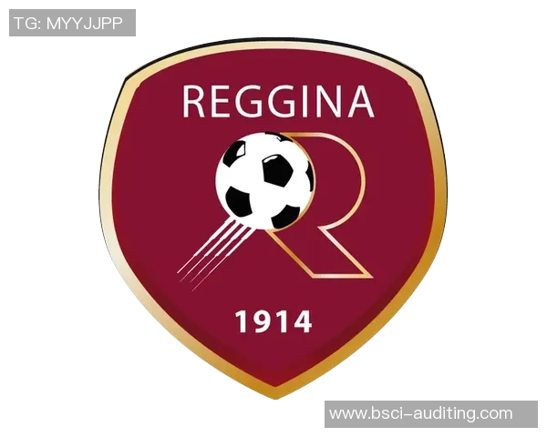 雷吉纳足球俱乐部的辉煌历史与未来发展展望